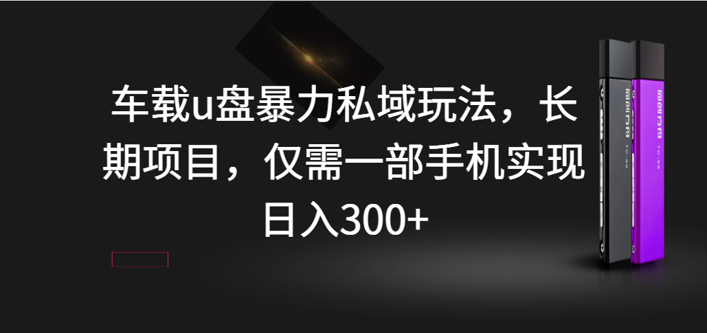 车载u盘暴力私域玩法，长期项目，仅需一部手机实现日入300+网赚课程-副业赚钱-互联网创业-手机赚钱-挂机躺赚-宅商社副业--精品课程-知识付费-源码分享宅商社副业