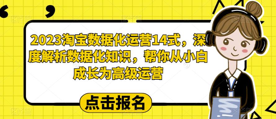 2023淘宝数据化运营14式，深度解析数据化知识，帮你从小白成长为高级运营网赚课程-副业赚钱-互联网创业-手机赚钱-挂机躺赚-宅商社副业--精品课程-知识付费-源码分享宅商社副业