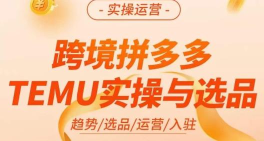 伍跃·跨境拼多多TEMU实操与选品，趋势/选品/运营/入住(27节完整)网赚课程-副业赚钱-互联网创业-手机赚钱-挂机躺赚-宅商社副业--精品课程-知识付费-源码分享宅商社副业