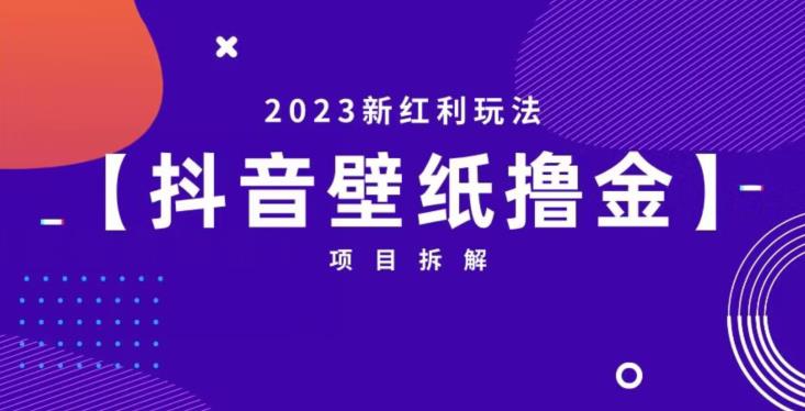 抖音壁纸小程序创作者撸金项目，2023新红利玩法[项目拆解]网赚课程-副业赚钱-互联网创业-手机赚钱-挂机躺赚-宅商社副业--精品课程-知识付费-源码分享宅商社副业