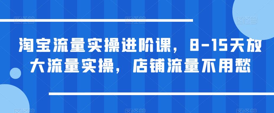 淘宝流量实操进阶课，8-15天放大流量实操，店铺流量不用愁网赚课程-副业赚钱-互联网创业-手机赚钱-挂机躺赚-宅商社副业--精品课程-知识付费-源码分享宅商社副业