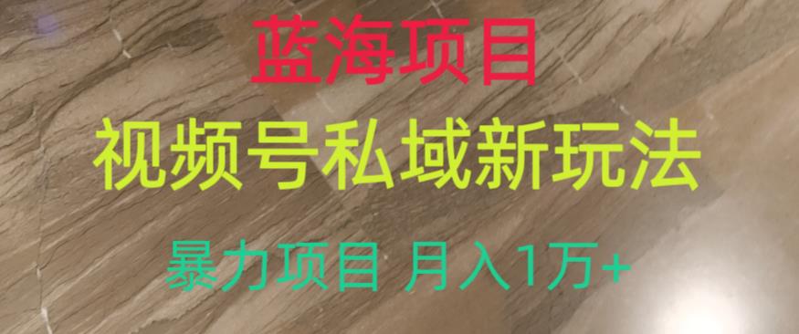 蓝海项目，视频号私域新玩法，暴力项目月入1万+[揭秘]网赚课程-副业赚钱-互联网创业-手机赚钱-挂机躺赚-宅商社副业--精品课程-知识付费-源码分享宅商社副业