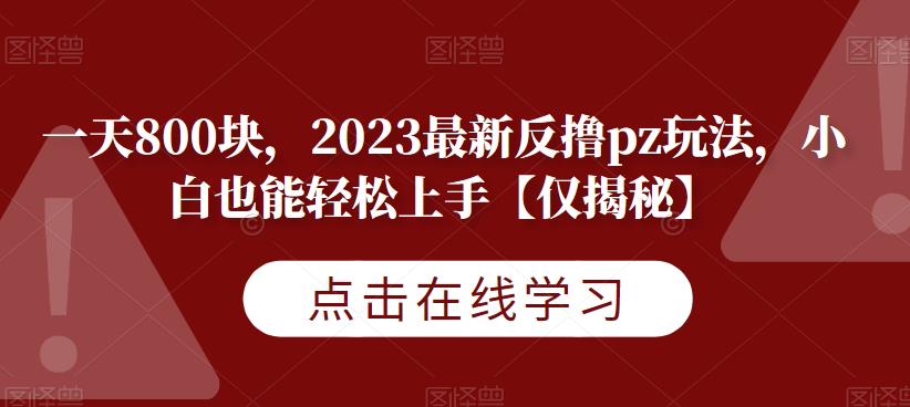 天800块，2023最新反撸pz玩法，小白也能轻松上手[仅揭秘]网赚课程-副业赚钱-互联网创业-手机赚钱-挂机躺赚-宅商社副业--精品课程-知识付费-源码分享宅商社副业