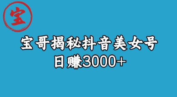 宝哥揭秘抖音美女号玩法，日赚3000+【揭秘】网赚课程-副业赚钱-互联网创业-手机赚钱-挂机躺赚-宅商社副业--精品课程-知识付费-源码分享宅商社副业