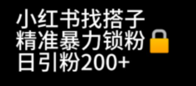 小红书找搭子暴力精准锁粉+引流日引200+精准粉网赚课程-副业赚钱-互联网创业-手机赚钱-挂机躺赚-宅商社副业--精品课程-知识付费-源码分享宅商社副业