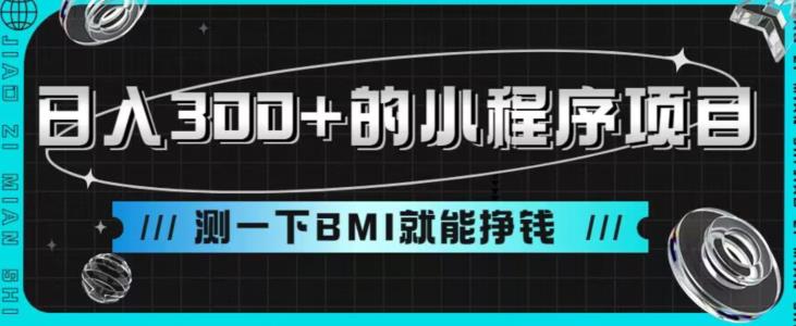 日入300+的小程序项目，测一下BMI就能挣钱（揭秘）网赚课程-副业赚钱-互联网创业-手机赚钱-挂机躺赚-宅商社副业--精品课程-知识付费-源码分享宅商社副业