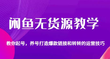 闲鱼无货源教学，教你起号，养号打造爆款链接以及转转的运营技巧网赚课程-副业赚钱-互联网创业-手机赚钱-挂机躺赚-宅商社副业--精品课程-知识付费-源码分享宅商社副业