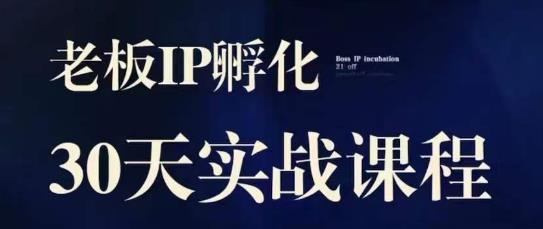 诸葛·2023老板IP实战课，实体同城引流获客，IP孵化必听网赚课程-副业赚钱-互联网创业-手机赚钱-挂机躺赚-宅商社副业--精品课程-知识付费-源码分享宅商社副业